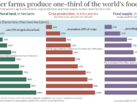 Produktion i små landbrug, Graf: Our World in Data
