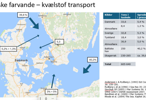 Dansk kvælstof og den økologiske tilstand: hvor meget betyder det egentlig?