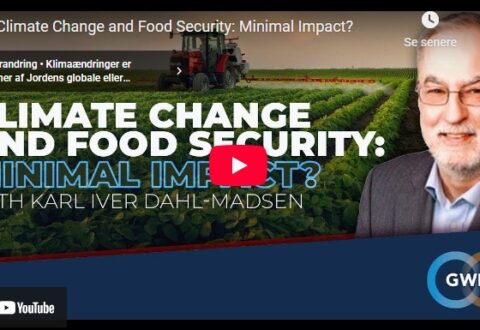 Klimapanik vs. virkelighed: Derfor løber verden ikke tør for mad